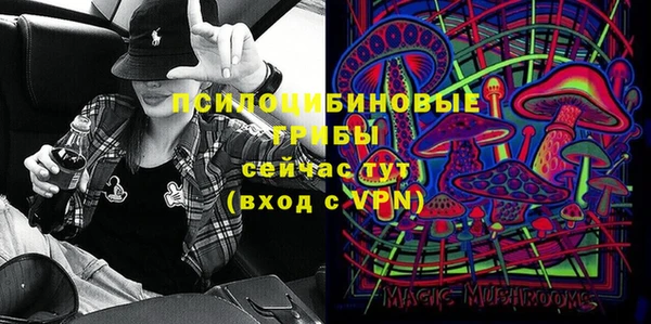 PSILOCYBIN Белоозёрский