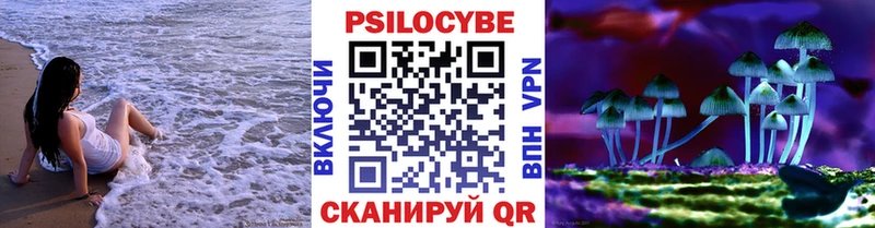 где можно купить наркотик Пыть-Ях Псилоцибиновые грибы MAGIC MUSHROOMS