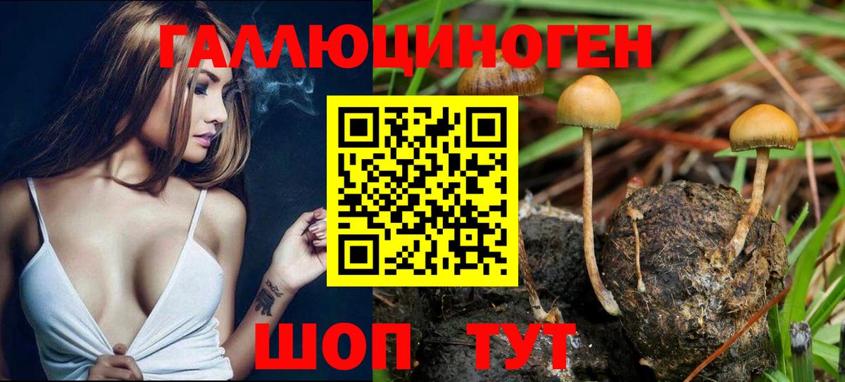 Пыть-Ях  Галлюциногенные грибы прущие грибы  Вход с VPN 